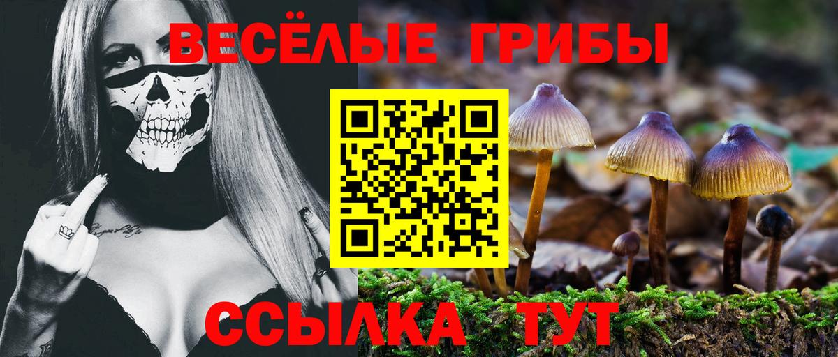 Галлюциногенные грибы мицелий Карталы